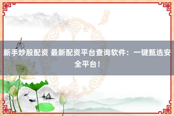 新手炒股配资 最新配资平台查询软件：一键甄选安全平台！