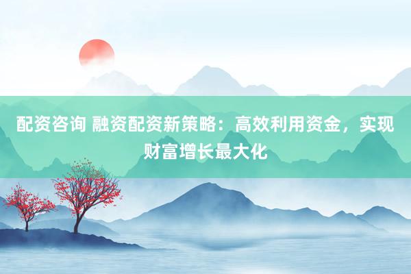 配资咨询 融资配资新策略：高效利用资金，实现财富增长最大化