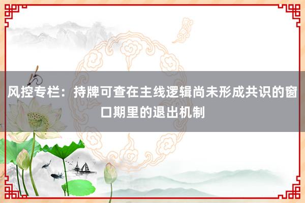 风控专栏：持牌可查在主线逻辑尚未形成共识的窗口期里的退出机制
