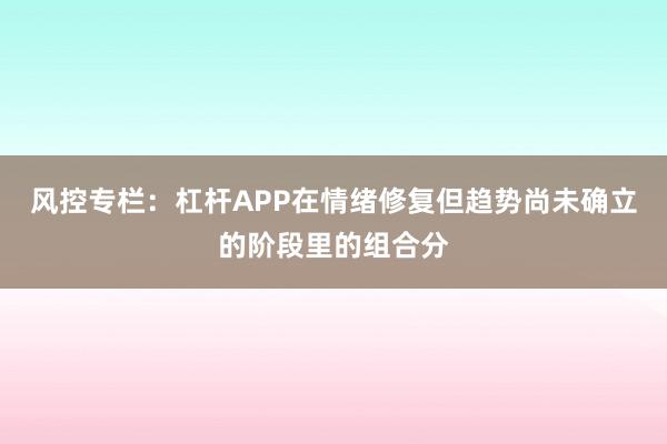 风控专栏：杠杆APP在情绪修复但趋势尚未确立的阶段里的组合分