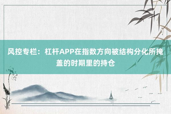 风控专栏：杠杆APP在指数方向被结构分化所掩盖的时期里的持仓