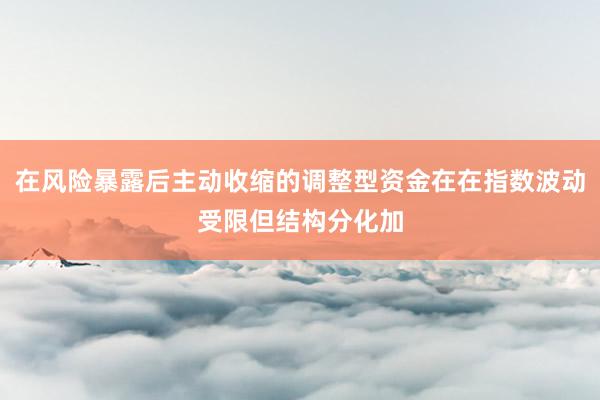 在风险暴露后主动收缩的调整型资金在在指数波动受限但结构分化加