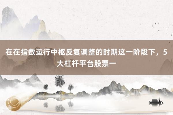 在在指数运行中枢反复调整的时期这一阶段下，5大杠杆平台股票一