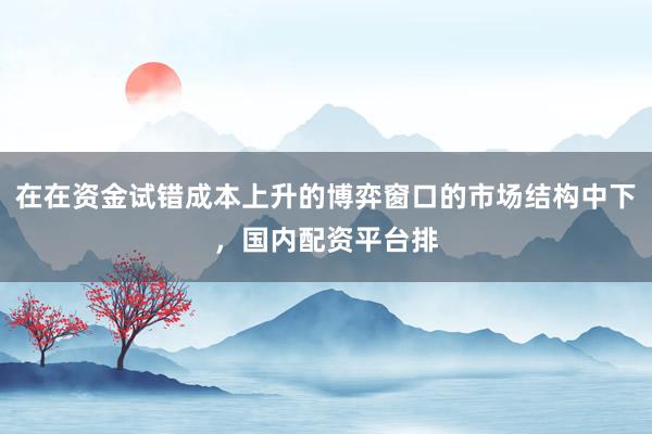 在在资金试错成本上升的博弈窗口的市场结构中下，国内配资平台排